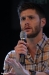 0340-jibcon-iv