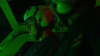 548