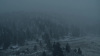 LSS03_0053