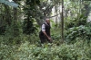 Hawaii Five-0