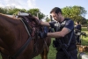 Hawaii Five-0