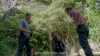 hawaii-five-0-s04e06-0035
