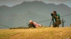 hawaii_five_2_03_-0008