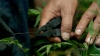 hawaii_five_2_03_-0061