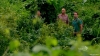 hawaii_five_2_03_-0064