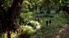 hawaii_five_2_17_0013
