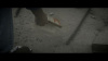 Colinsand0039