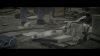 Colinsand0047