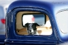 pets-vintage-truck-photos-12282009-009-820x546