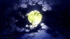 theanimation101_0002