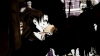 theanimation101_0123