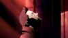 theanimation101_0181