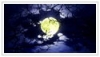 theanimation101_0329
